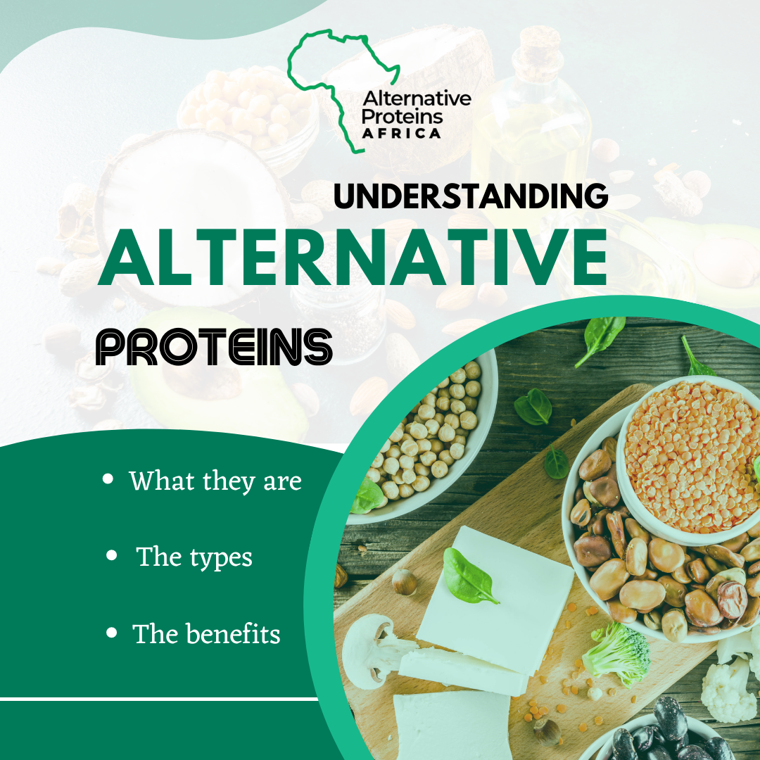 Understanding Alternative Proteins