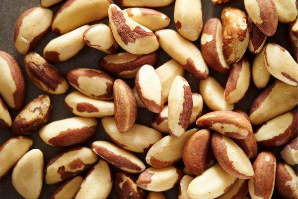 Brazil nut-alternative proteins africa
