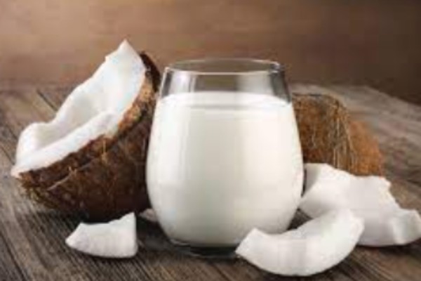 coconut milk - alternative proteins africa