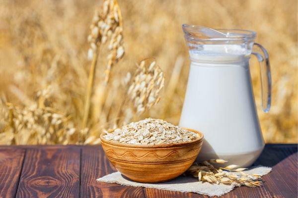 oat milk- alternative protein africa