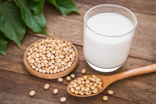 soy milk-Alternative proteins africa