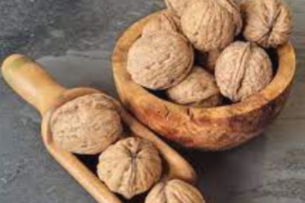 walnut-alternative proteins africa