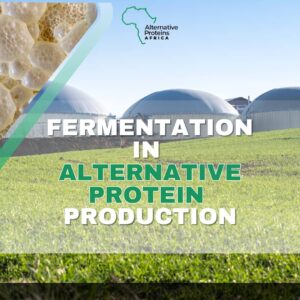 Fermentation in alternative protein production