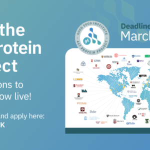 GFI Alt Protein Project