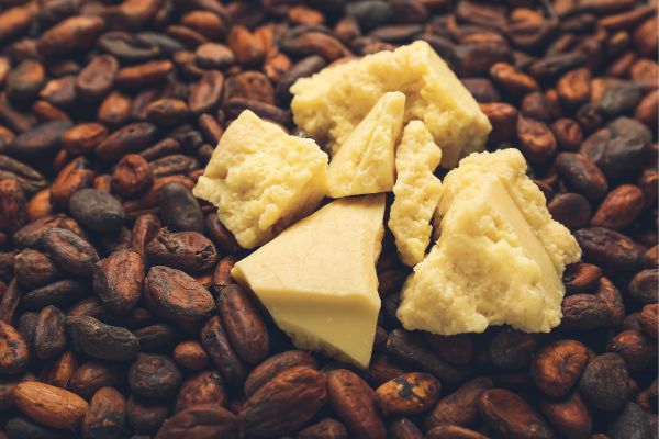 Cocoa_butter_Alternative_proteins_Africa