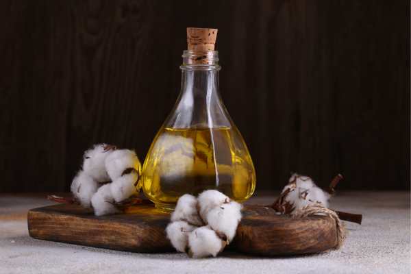 Cottonseed_oil_Alternative_proteins_Africa