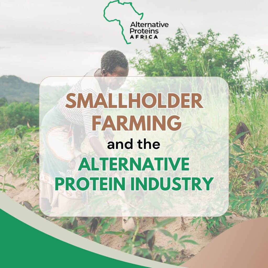 smallholder farming and the alternative protein industry