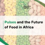 pulses and the future of food in Africa