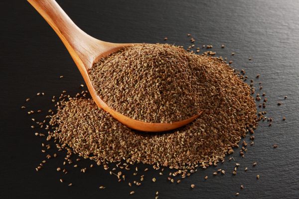 Ajwain Alternative Proteins Africa