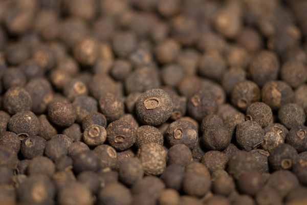 Allspice Alternative Proteins Africa