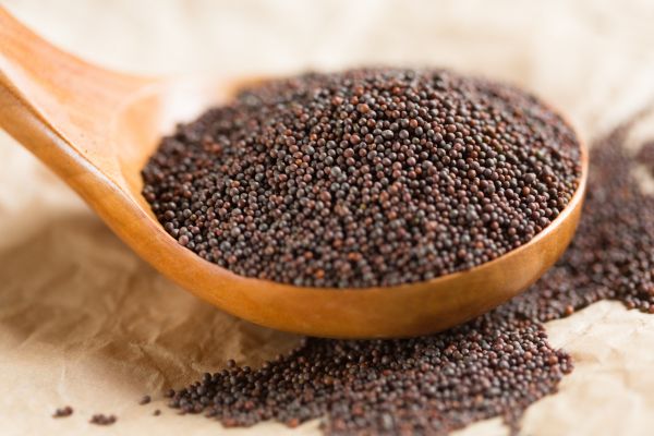 Brown Mustard Seed Alternative Proteins Africa