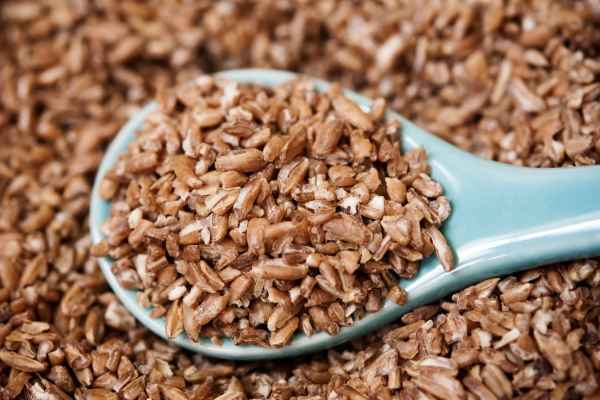 Alternative Protein Africa Bulgar