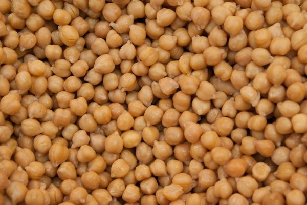 Chickpea