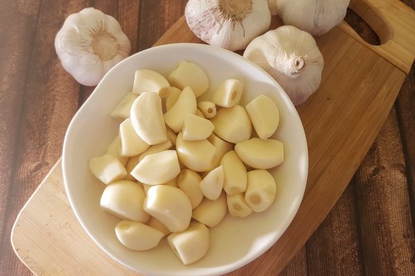 Garlic Alternative Proteins Africa