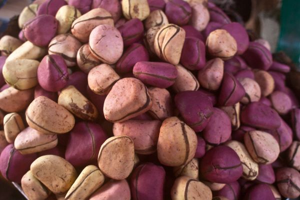 Kola nuts